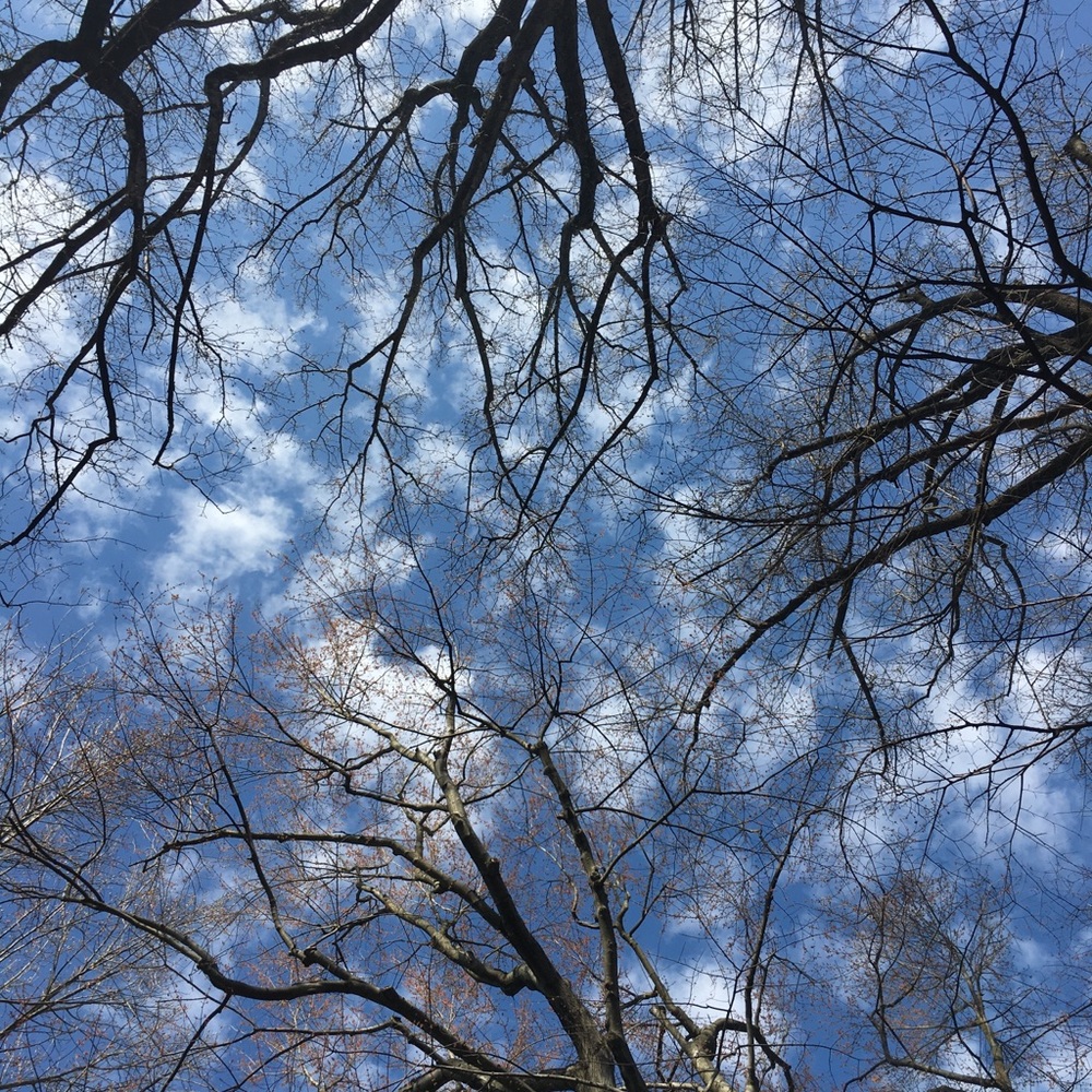 Meet your Posher, Charlotte